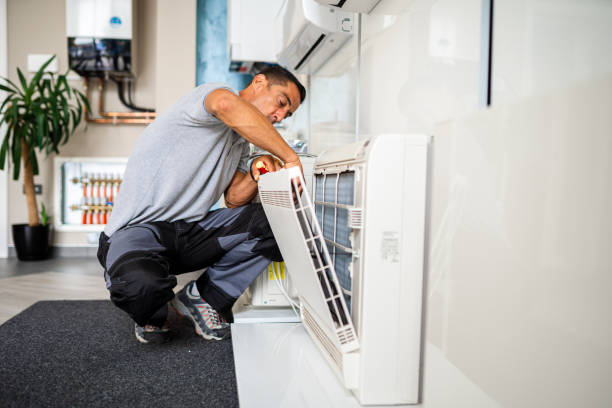 Air Duct Mold Removal in Lacon, IL