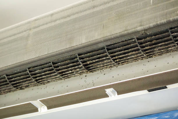 Best Ductwork Cleaning Services  in Lacon, IL