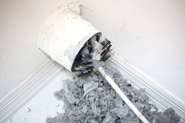 Best Professional Duct Cleaning Services  in Lacon, IL